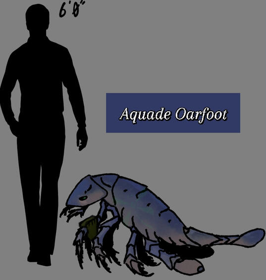 Aquade ◇ line art full + colour ◇ $23