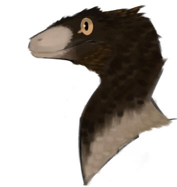 Sinornithosaurus ◇ sketch headshot + shading + colour ◇ $10