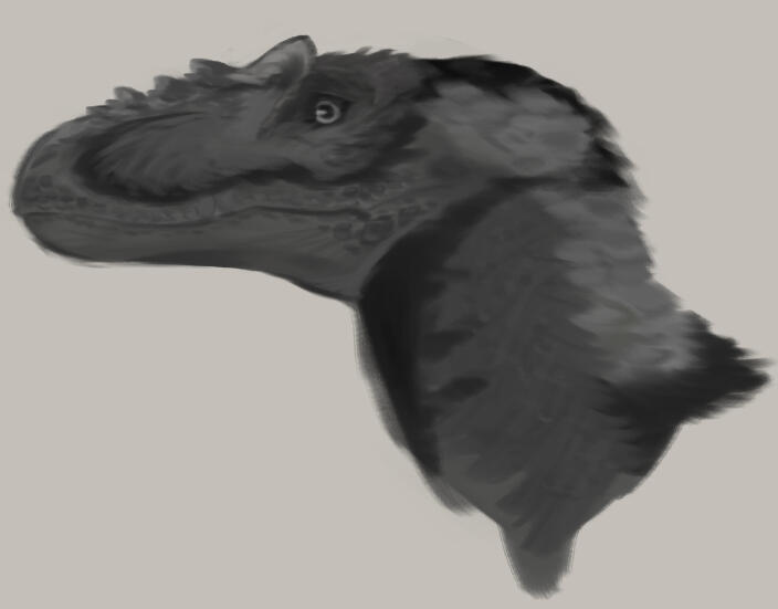Alioram ◇ Grayscale ◇ realistic headshot + shading ◇ $15